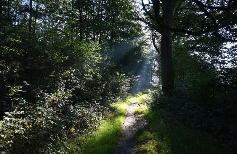 Doetinchem dagwandeling camping