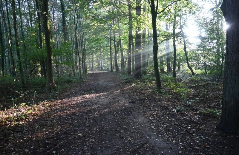 In de omgeving kleine camping zelhem