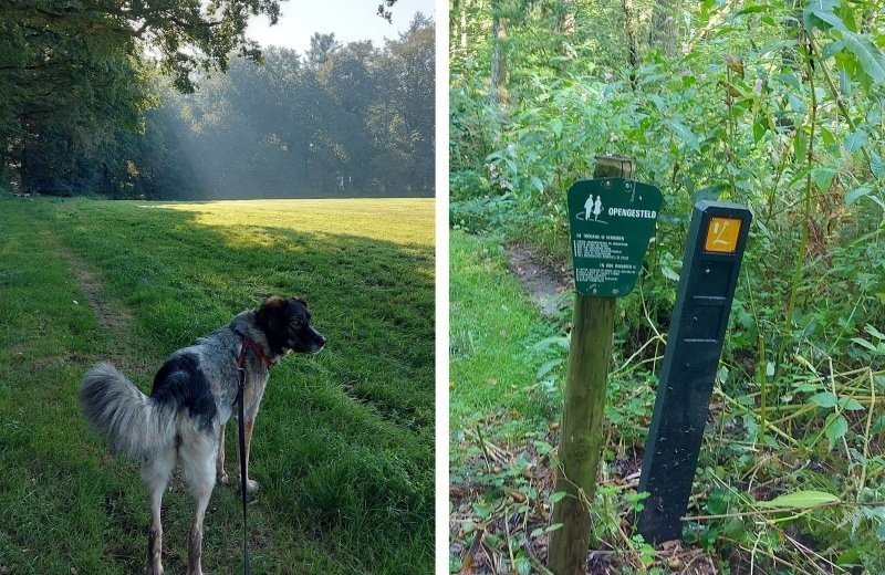 In de omgeving nabij kleine camping doetinchem