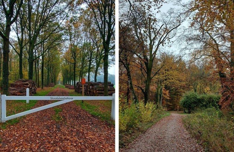 Kleine camping achterhoek omgeving rondom