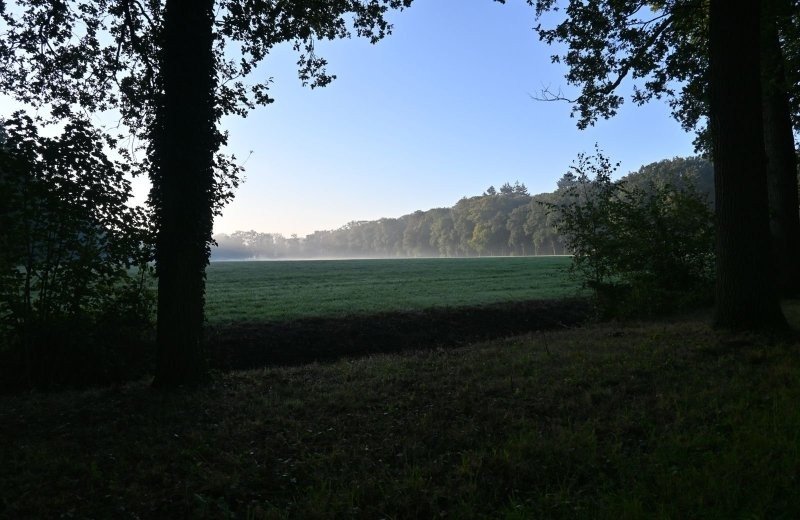 Nabij kleine camping aan het pieterpad omgeving