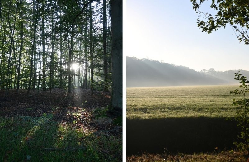 Nabij pieterpad camping in de omgeving