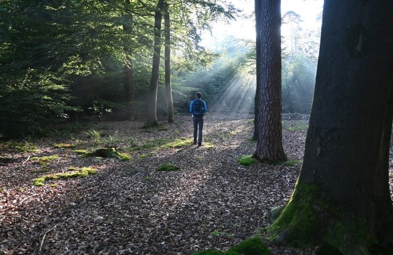 Ochtendwandeling camping 651d16d807272