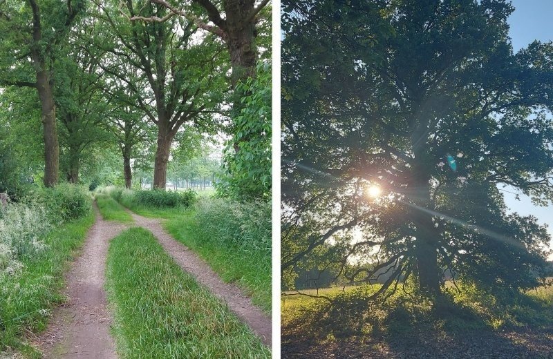 Omgeving nabij kleine camping achterhoek