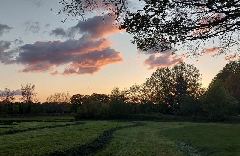 Omgeving nabij kleine camping overijssel