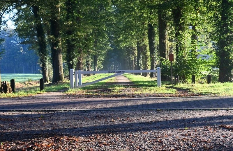 Omgeving pluk de dag doetinchem
