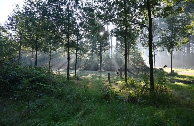 Slangenberg pluk de dag
