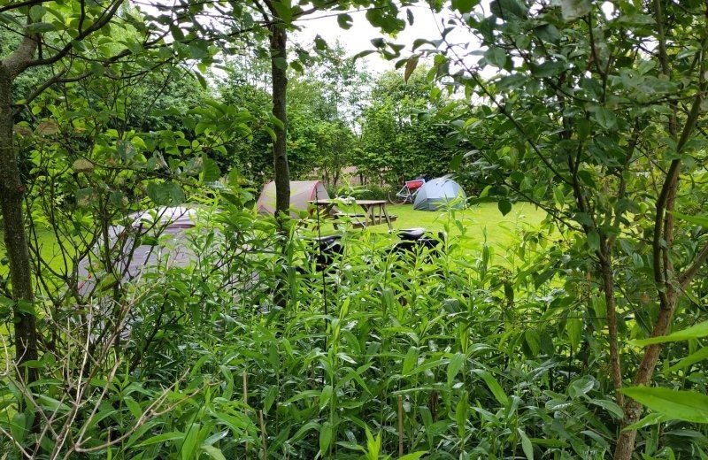 Tentplaats bij zelhem