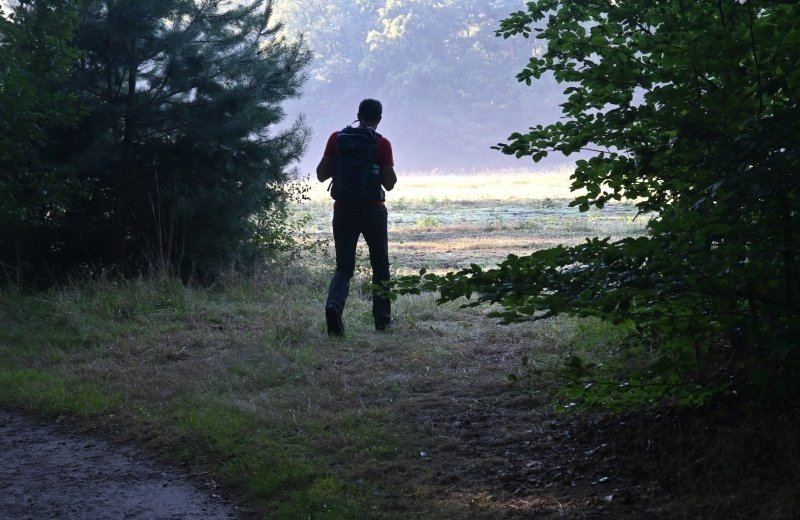 Wandelen in de omgeving 