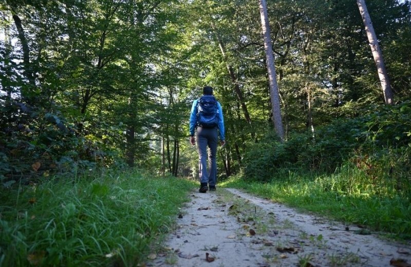 Wandelroute achterhoek camping