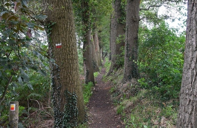Wandelroute doetinchem omgeving